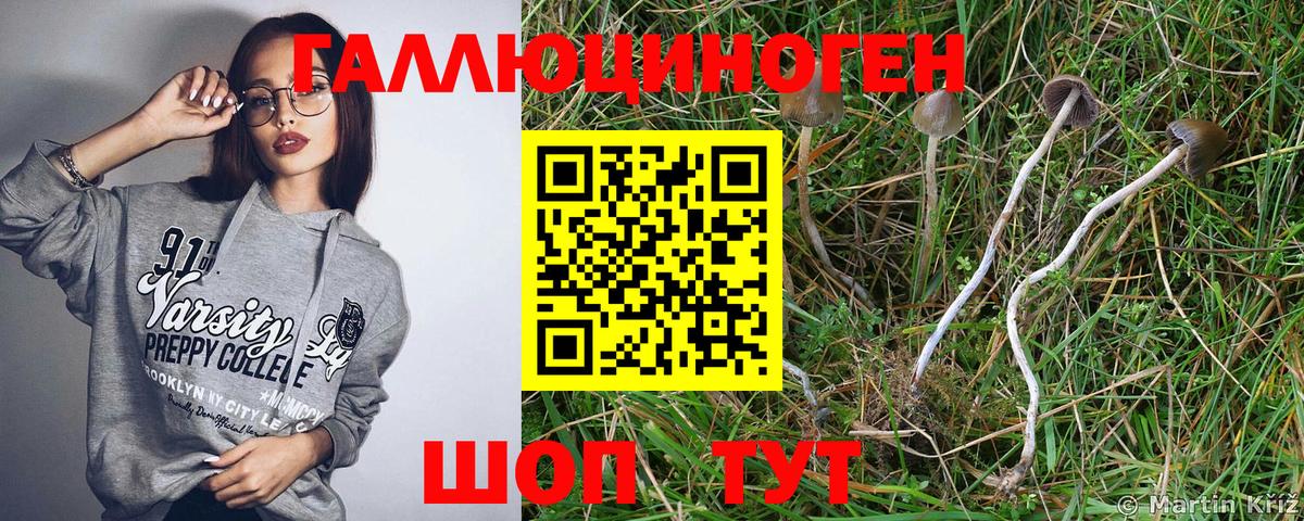 Псилоцибиновые грибы MAGIC MUSHROOMS  Вход с VPN  Коряжма 
