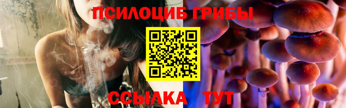 Галлюциногенные грибы MAGIC MUSHROOMS Коряжма